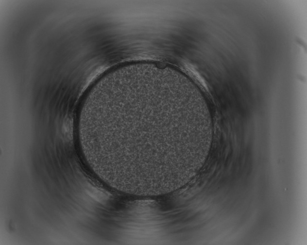 X0000092220108200710121205