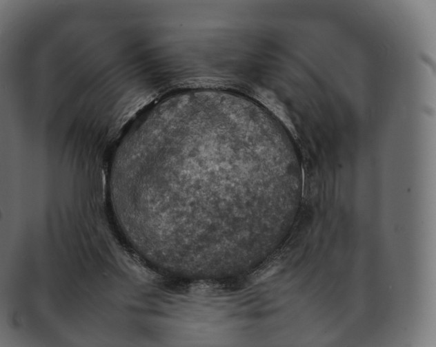 X0000092220109200710121205