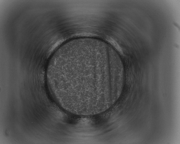 X0000092220111200710121205