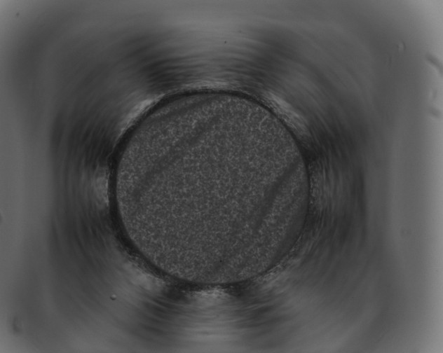 X0000092220112200710121205