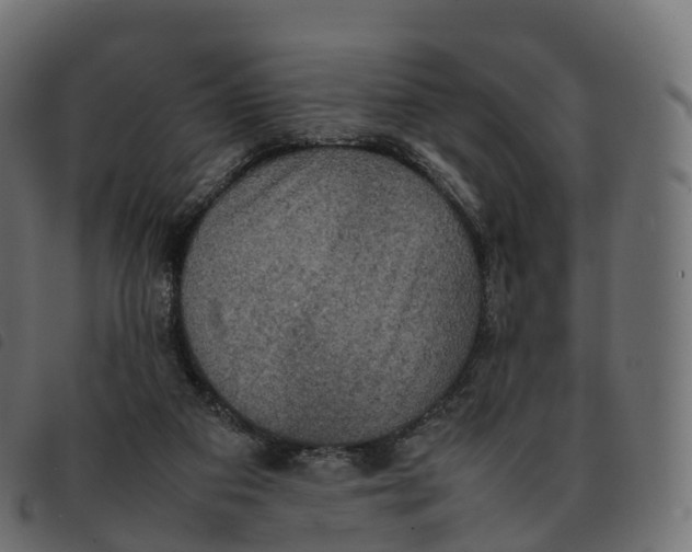 X0000092220113200710121205