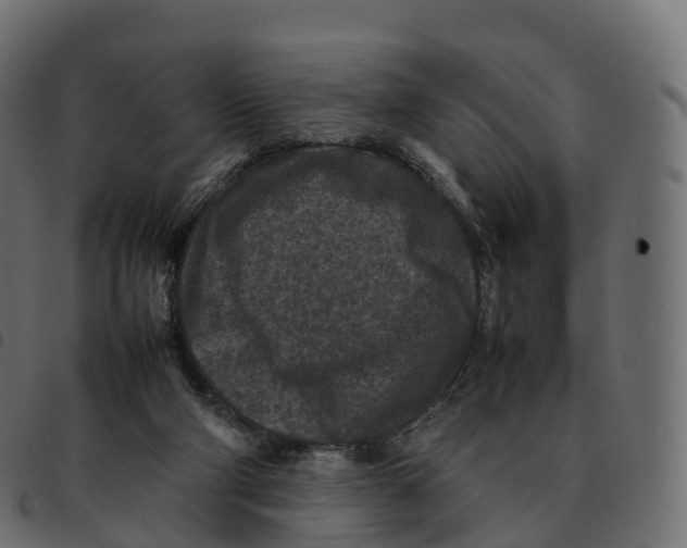 X0000092220114200710121205