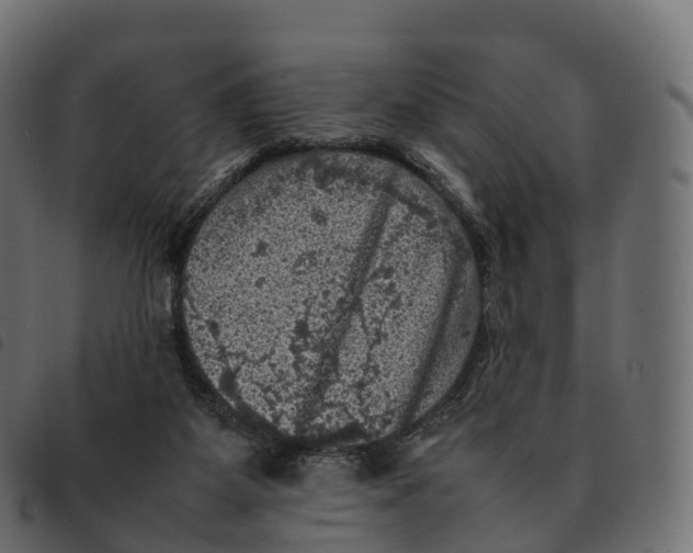 X0000092220115200710121205