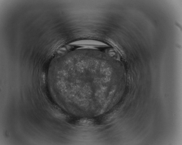 X0000092220117200710121205