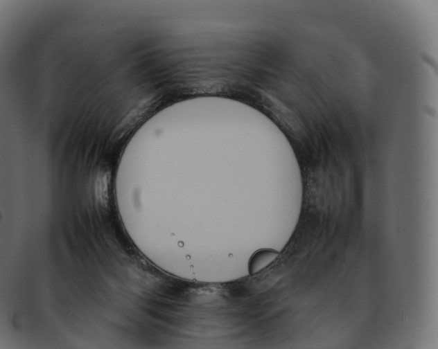 X0000092220118200710121205