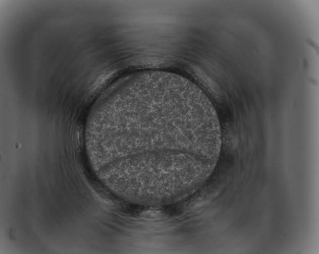 X0000092220119200710121205