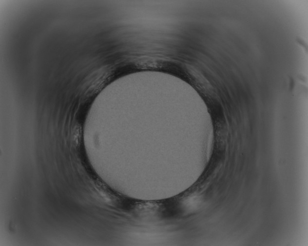 X0000092220125200710121205