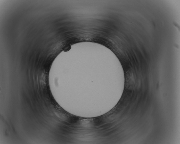 X0000092220126200710121205