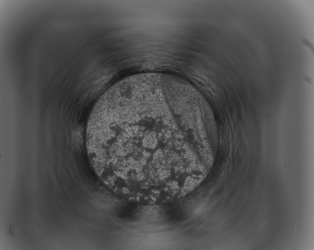 X0000092220127200710121205