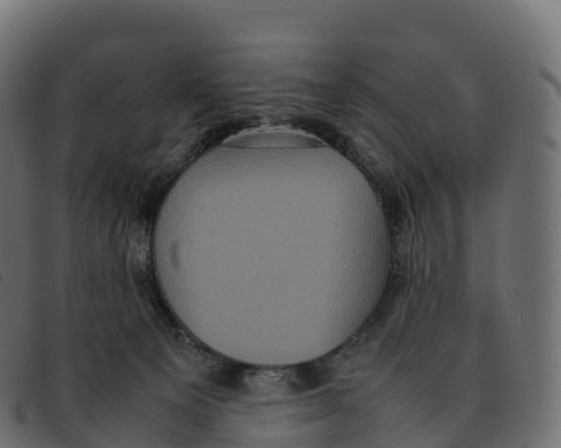 X0000092220129200710121205