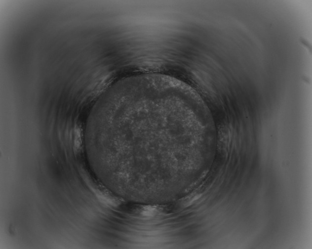 X0000092220130200710121205