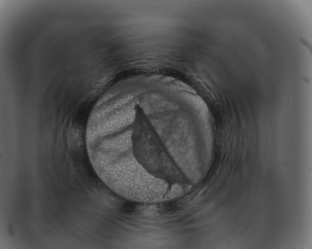 X0000092220131200710121205