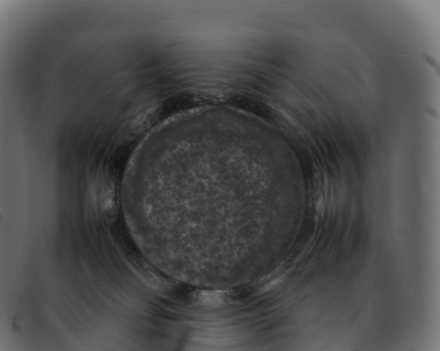 X0000092220134200710121205