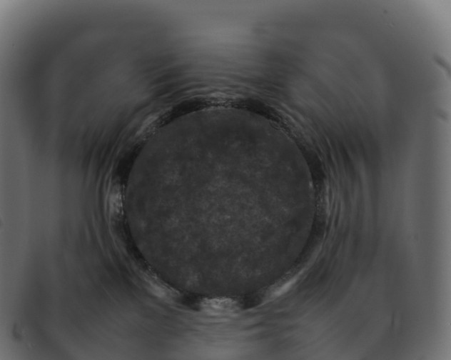 X0000092220137200710121205