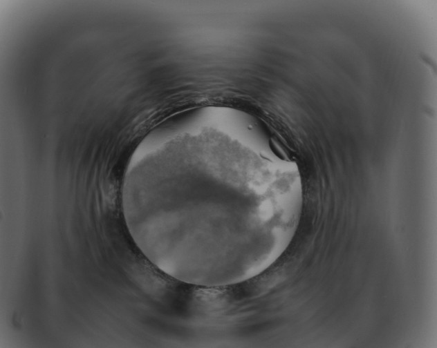 X0000092220139200710121205