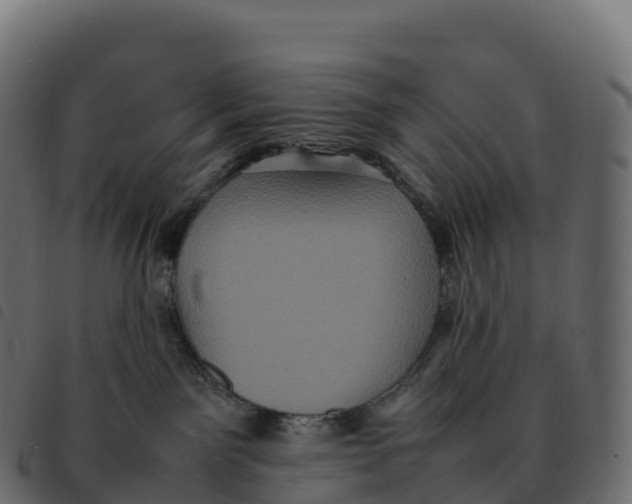 X0000092220141200710121205