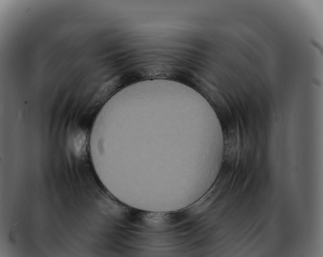 X0000092220142200710121205