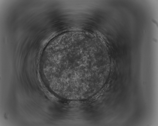 X0000092220145200710121204