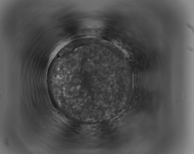 X0000092220147200710121204