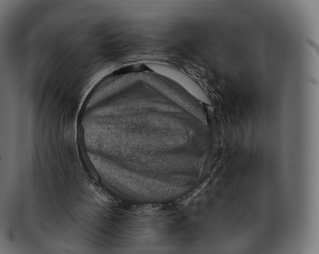 X0000092220148200710121204