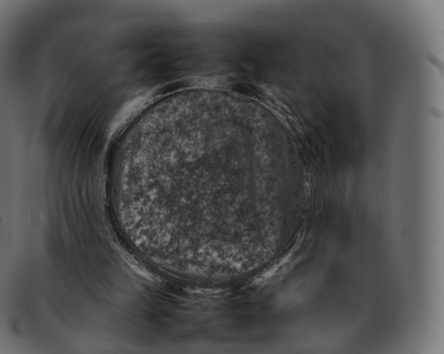 X0000092220149200710121204