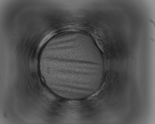 X0000092220150200710121204