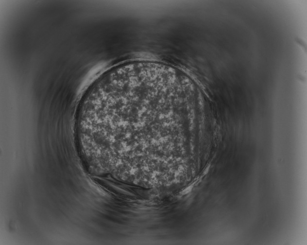 X0000092220151200710121204