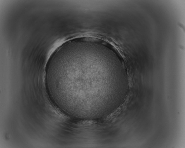 X0000092220152200710121204