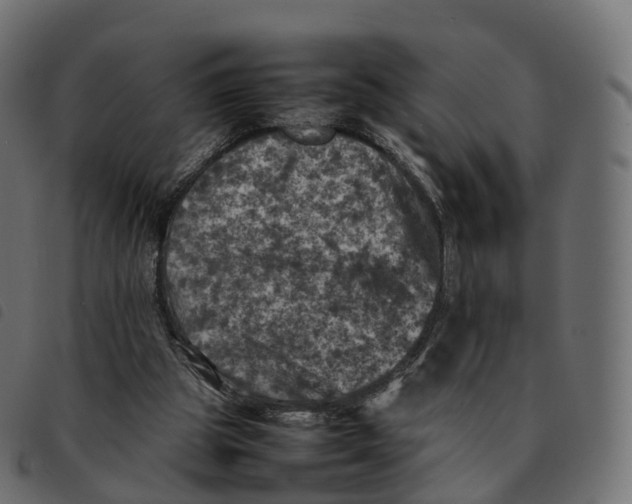 X0000092220153200710121204