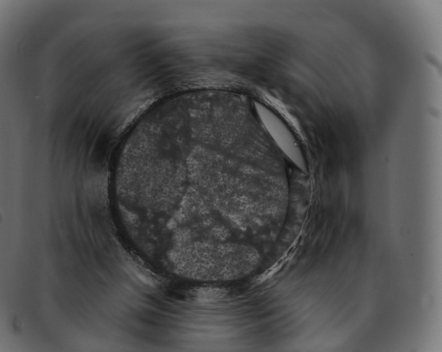 X0000092220154200710121204