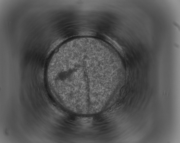 X0000092220155200710121204