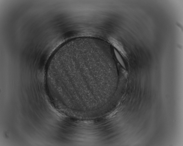 X0000092220156200710121204