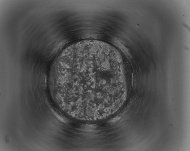 X0000092220157200710121204