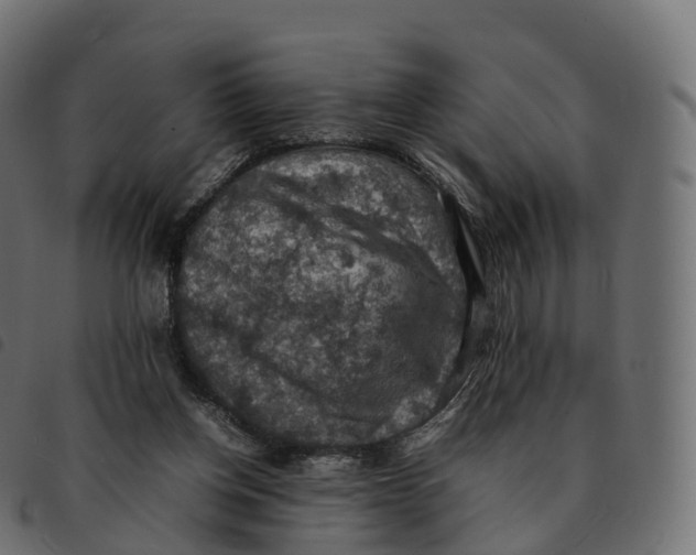 X0000092220158200710121204