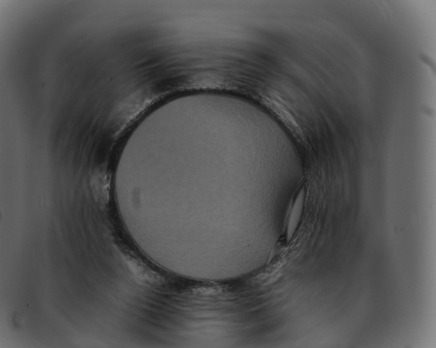 X0000092220160200710121204