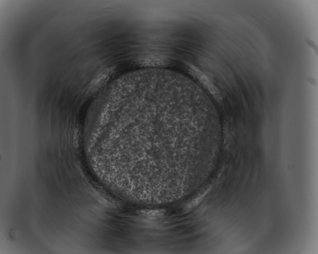 X0000092220161200710121204