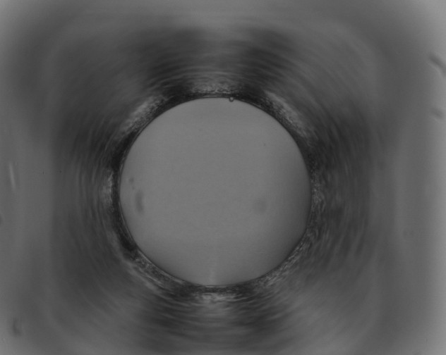 X0000092220163200710121204