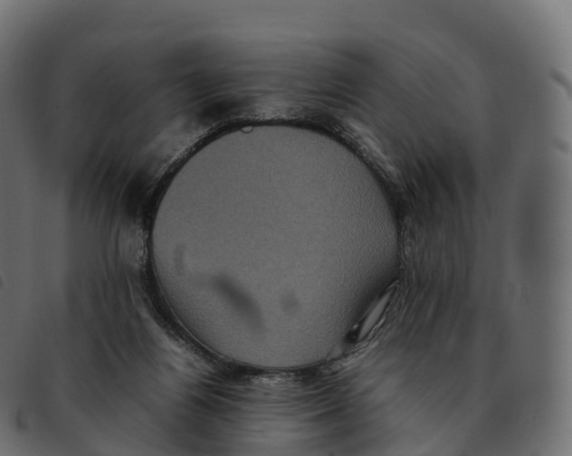 X0000092220164200710121204