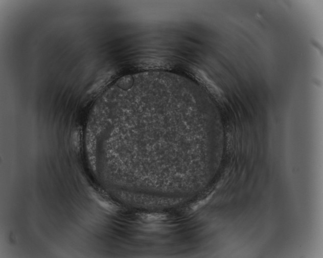 X0000092220165200710121204