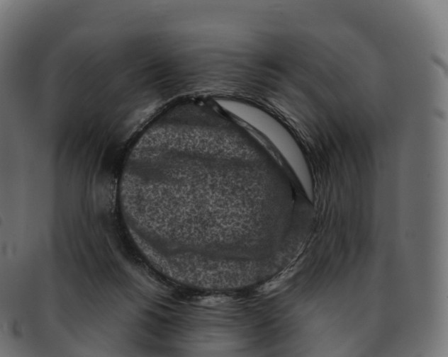 X0000092220168200710121204