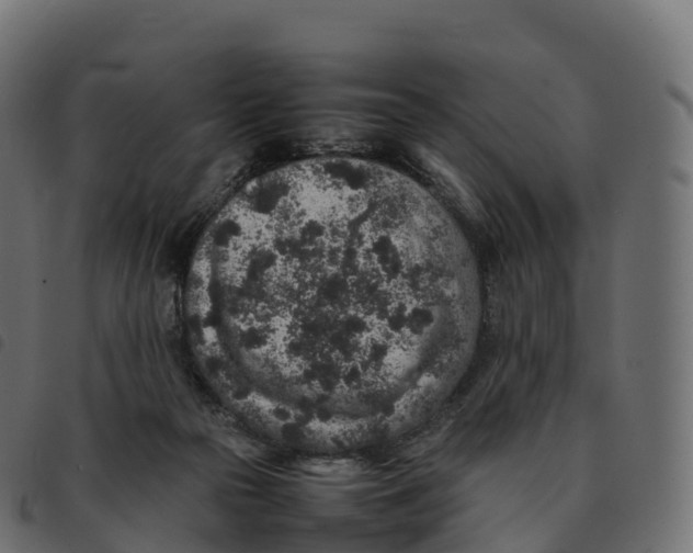 X0000092220169200710121204