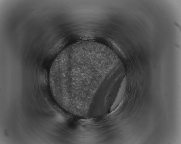 X0000092220170200710121204