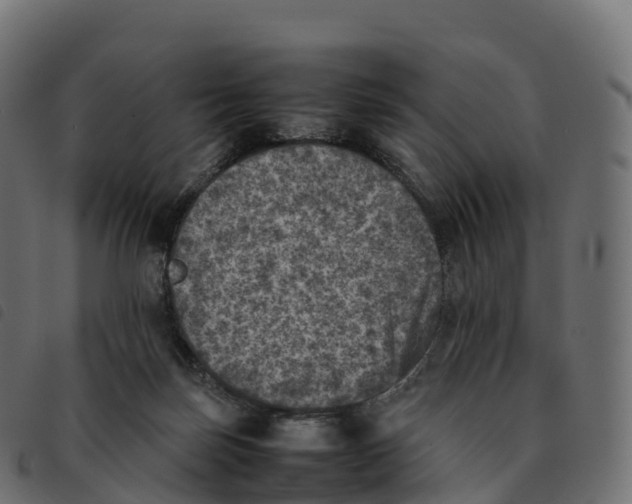 X0000092220171200710121204