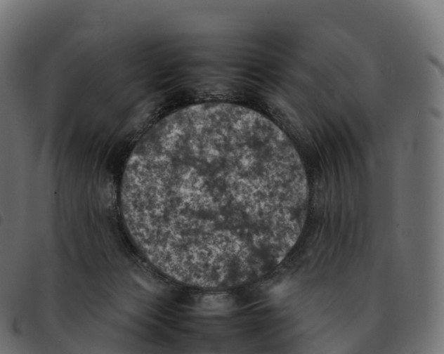 X0000092220173200710121204