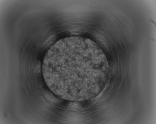 X0000092220174200710121204