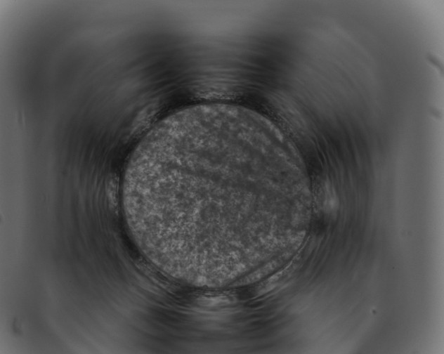 X0000092220175200710121204