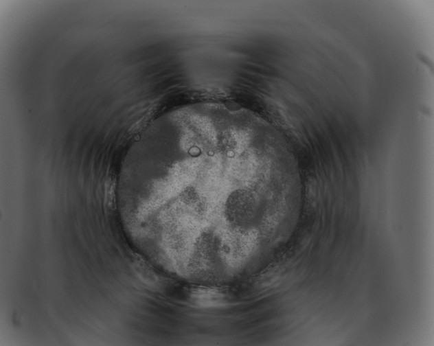 X0000092220177200710121204