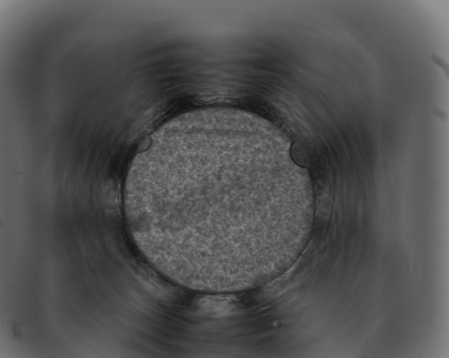 X0000092220179200710121204