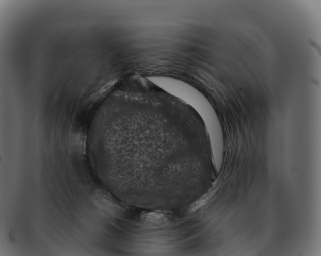 X0000092220180200710121204