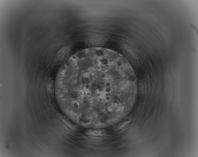 X0000092220181200710121204